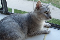     
: SDC12753.JPG
: 2470
:	361.8 
ID:	1250