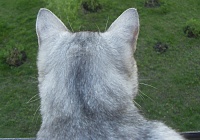     
: SDC12761.JPG
: 2585
:	347.8 
ID:	1254