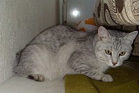     
: SDC12771.JPG
: 2560
:	367.8 
ID:	1256
