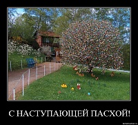     
: litsy7d2fqnz.jpg
: 1866
:	133.3 
ID:	1276
