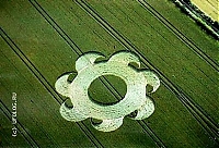     
: uk1.jpg
: 3011
:	33.7 
ID:	145