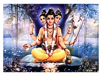     
: 78-1-f.jpg
: 2391
:	58.2 
ID:	21