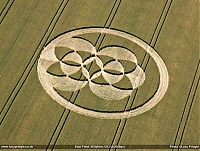     
: uk2008ax.jpg
: 2886
:	88.7 
ID:	355