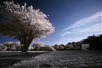     
: 06_191637.jpg
: 2842
:	90.8 
ID:	700