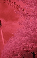     
: 07_191629.jpg
: 2811
:	87.2 
ID:	701