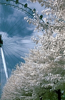     
: 11_191631.jpg
: 2942
:	147.3 
ID:	705