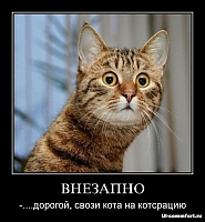     
: 1250181622_podborka_664_01.jpg
: 2261
:	57.4 
ID:	983