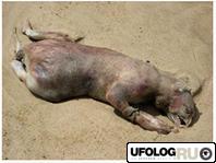 Название: 23.jpg
Просмотров: 5040
Размер: 7.1 Кб