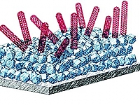 Нажмите на изображение для увеличения
Название: picture.jpg
Просмотров: 3251
Размер:	33.0 Кб
ID:	881